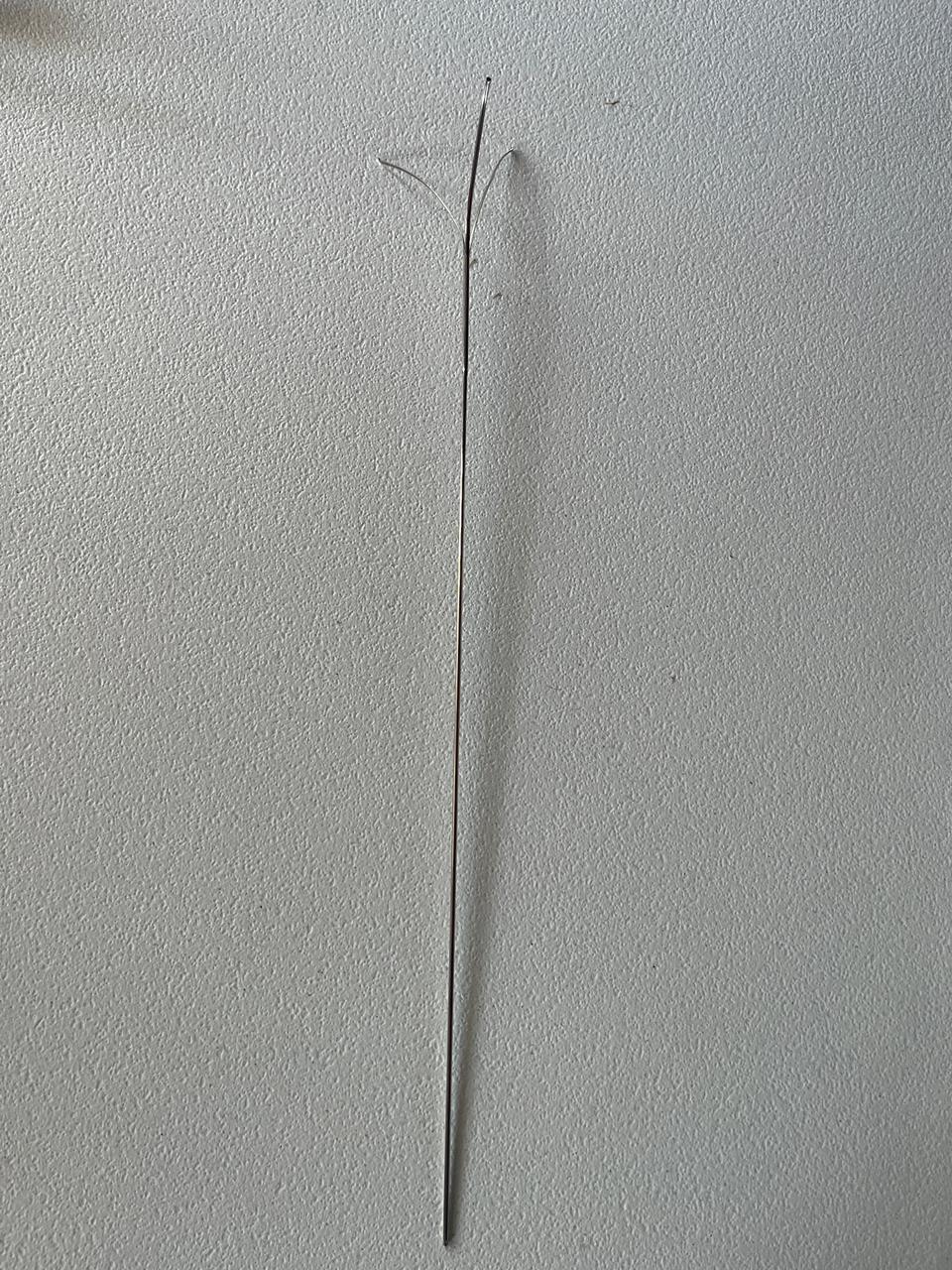 Arthroscopic Instrument 16mm Professional Grade